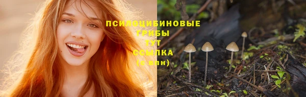 MDMA Premium VHQ Аркадак