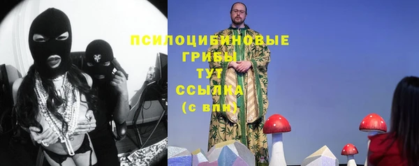 мяу мяу мука Алзамай