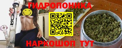 альфа пвп Новокубанск