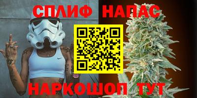 мдпв Новозыбков