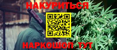 альфа пвп Новокубанск