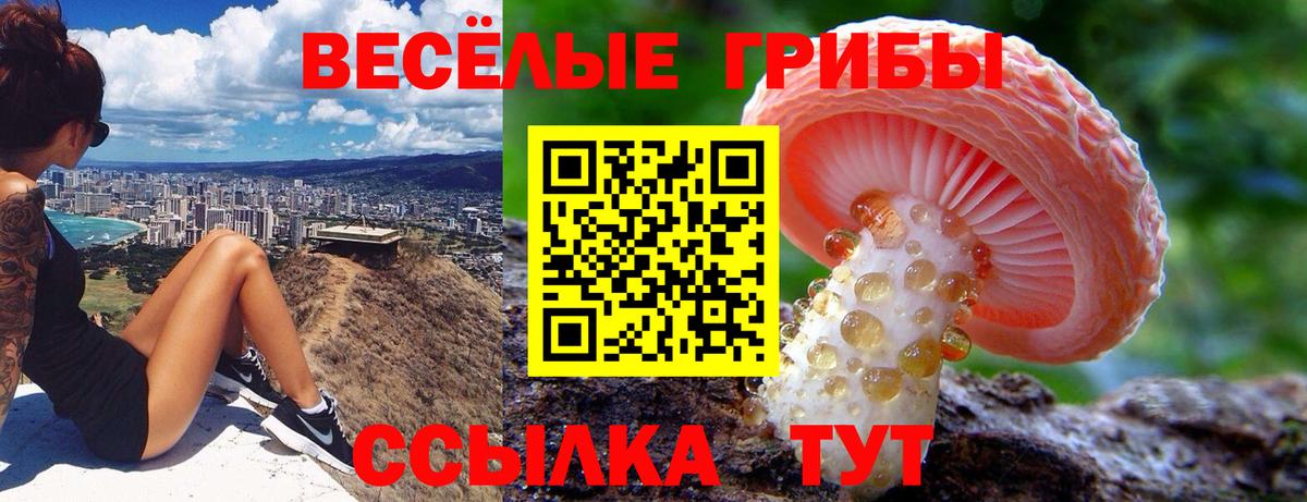Тейково  Галлюциногенные грибы мухоморы  Вход с VPN 